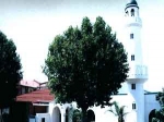 Şifa məscidi